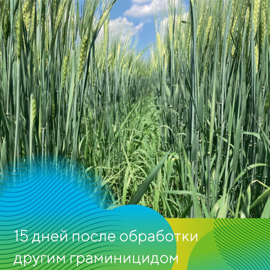 Пост 25.03.2025