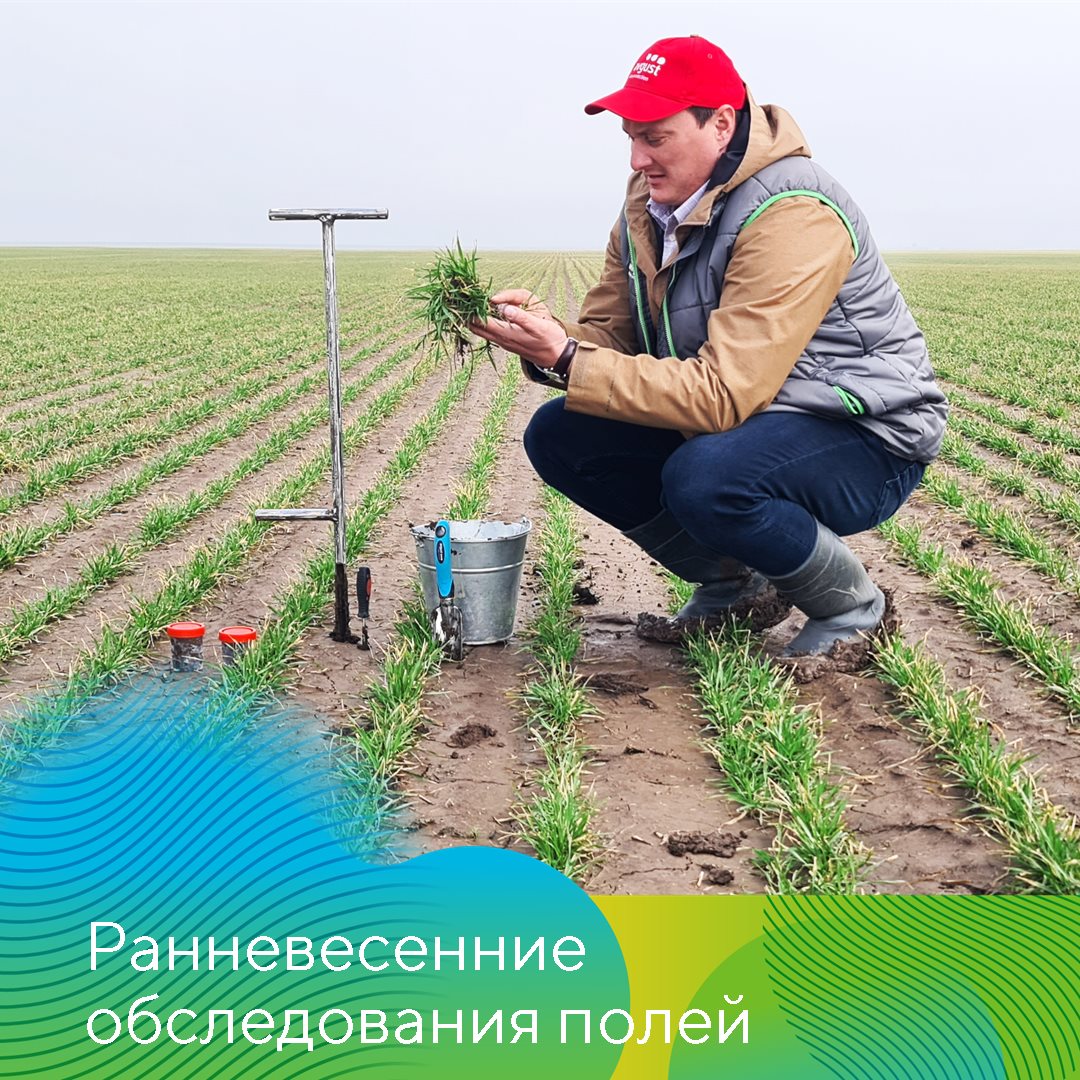 Ранневессеннее обследование полей