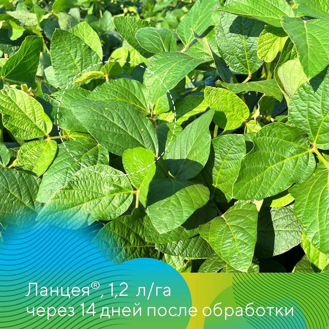 Пост 20.06.2025