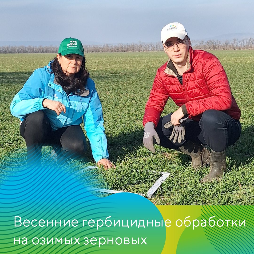 Пост 20.03.2025