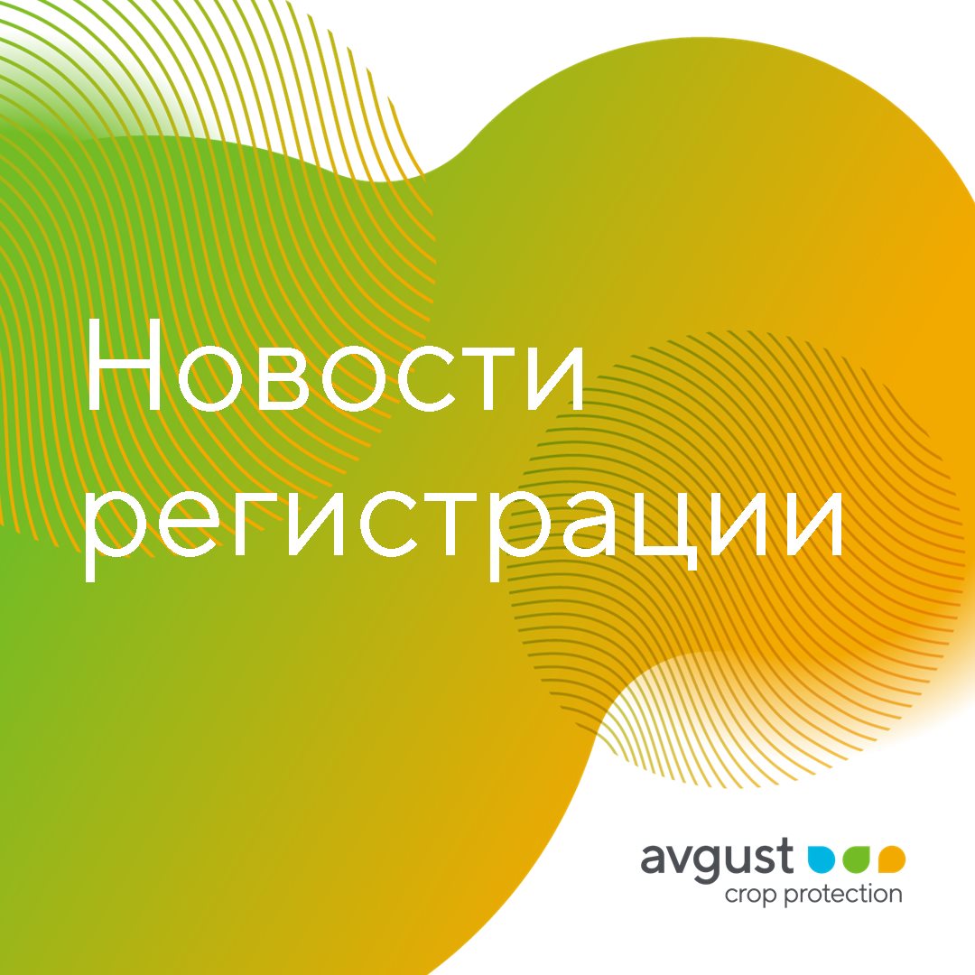 Новости регистрации 30.10