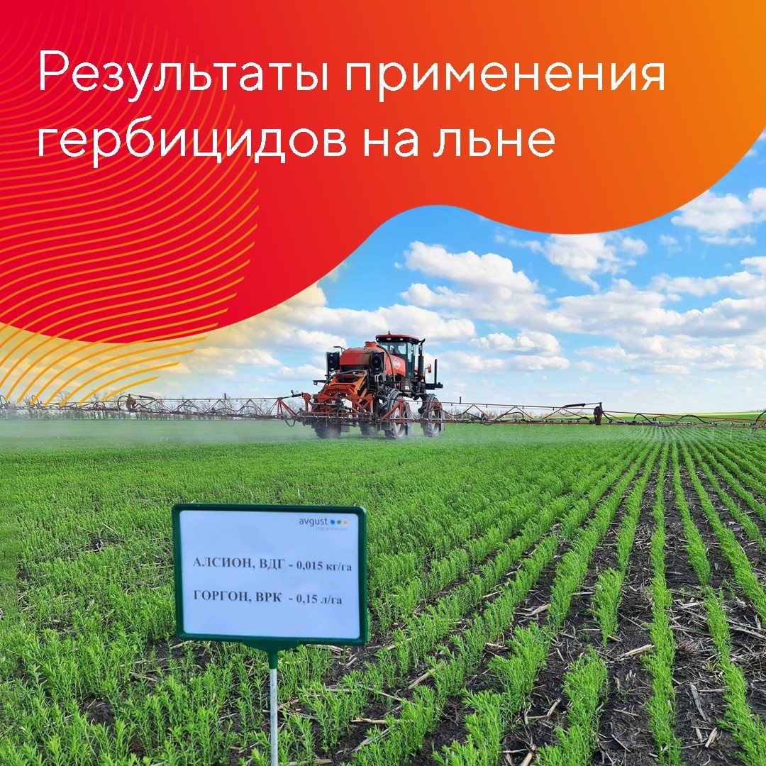 Результаты применения гербицидов на льне