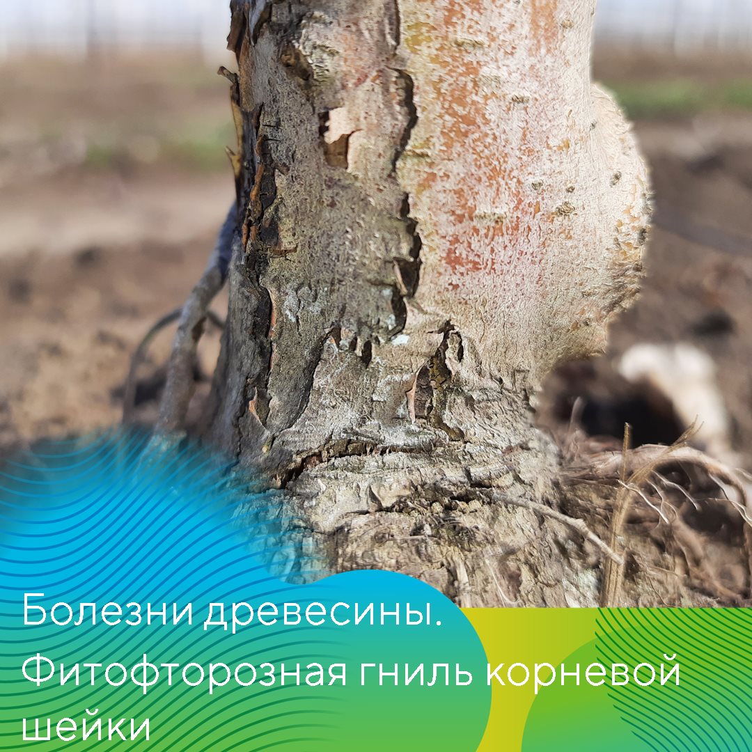 Пост 06.03.2025