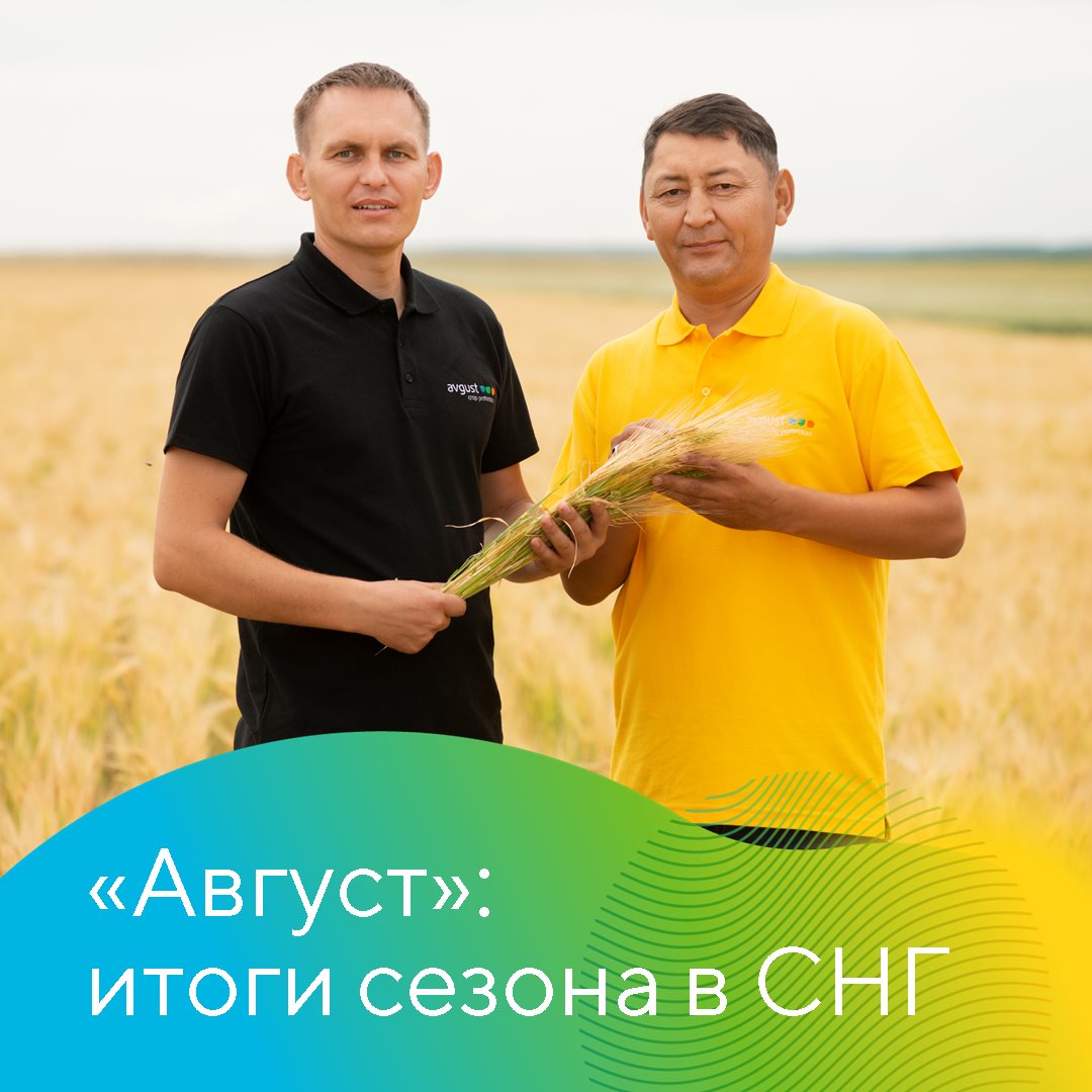 Страны СНГ – значимый рынок для «Августа»: в Беларуси, Казахстане, Молдове.