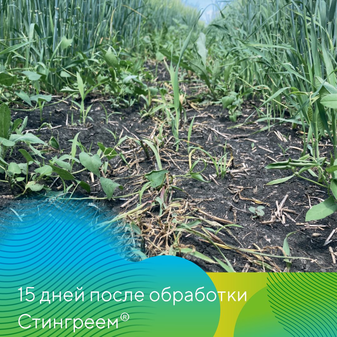 Пост 25.03.2025