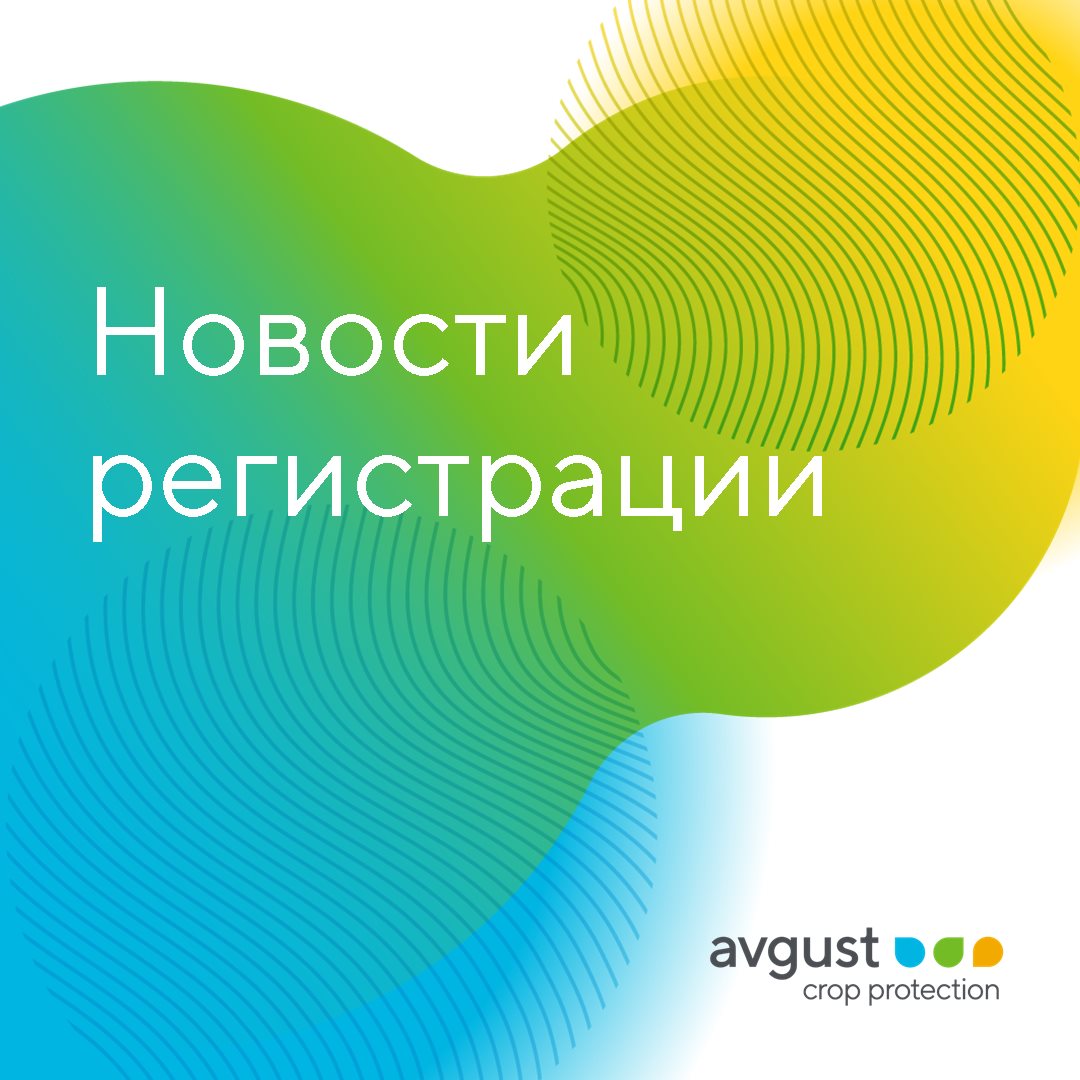 Пост 10.10.2024