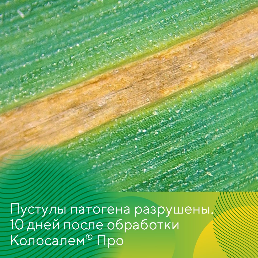 Пост 02.05.2025