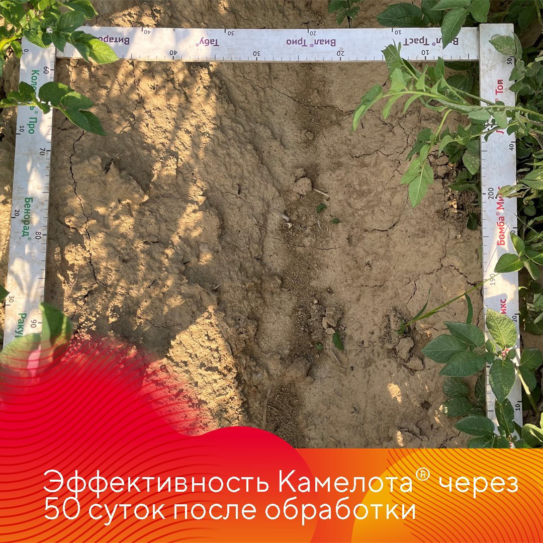 Пост 21.04.2026