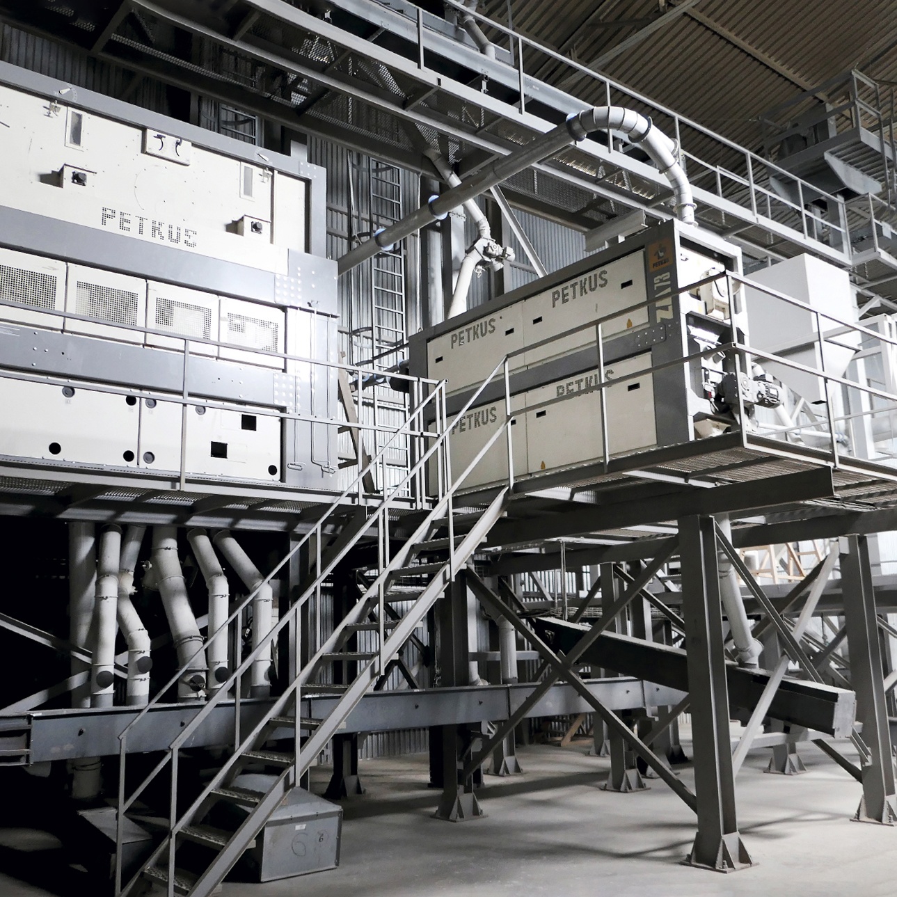 Конный завод имени С. М. Кирова из Ростовской области 