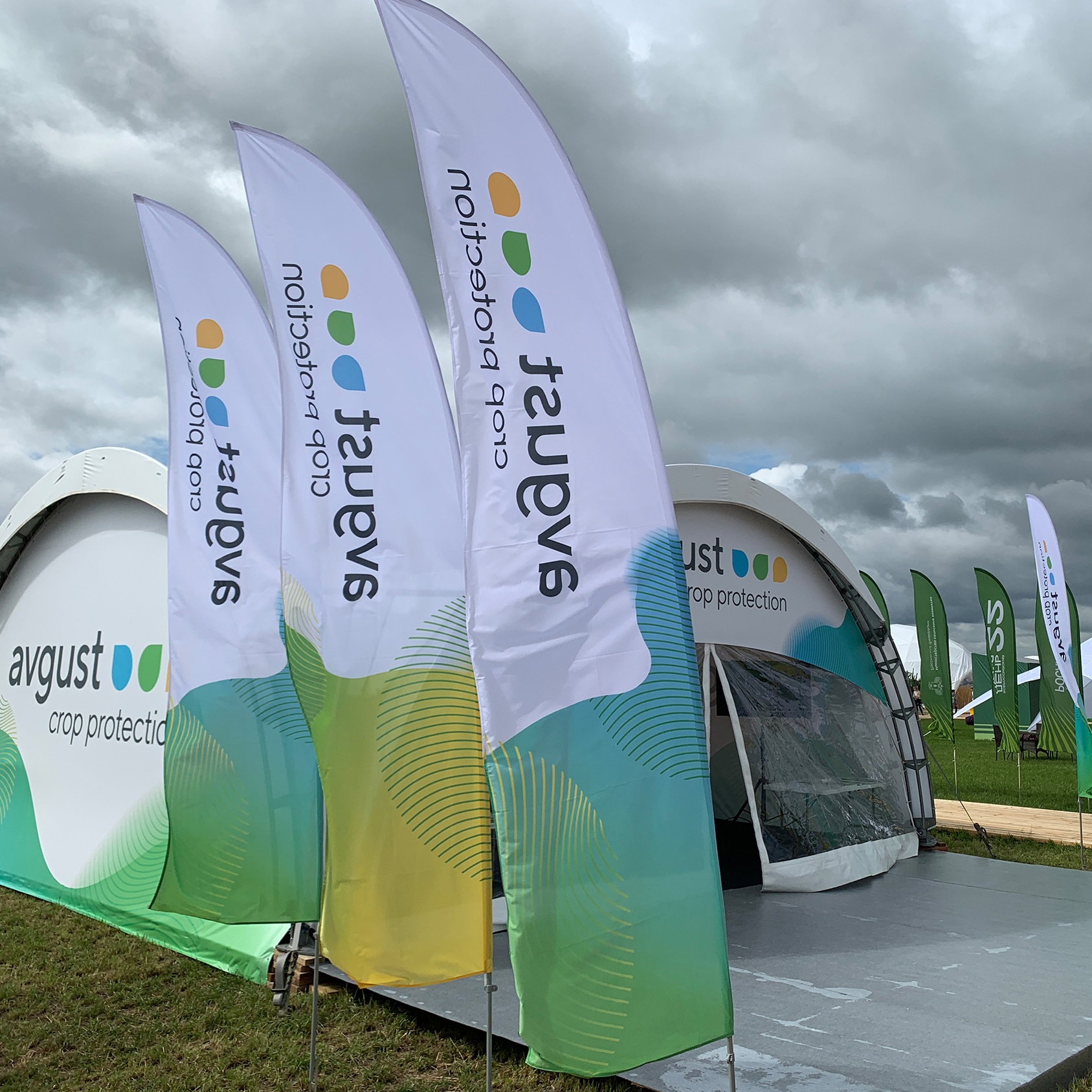 Всероссийский День поля-2022 начал работу! 