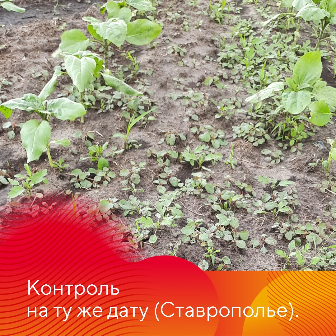 Пост 23.04.2025