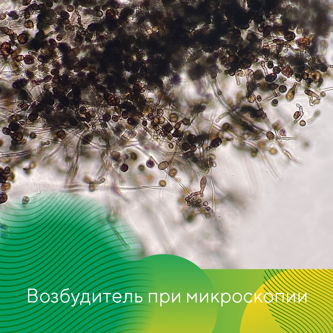 Пост 11.06.2025