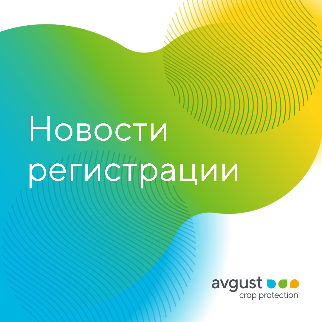 Пост 28.07.2025