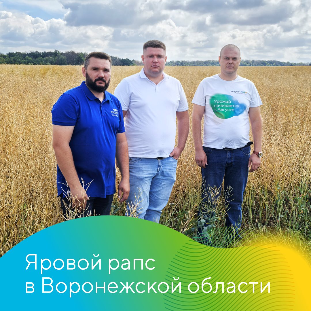 Пост 19122024