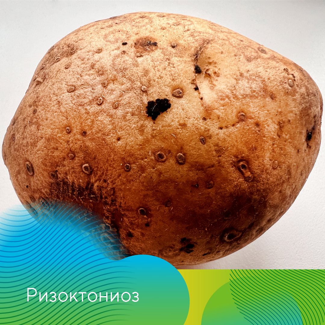 Екатерина Мурынкина 29.03