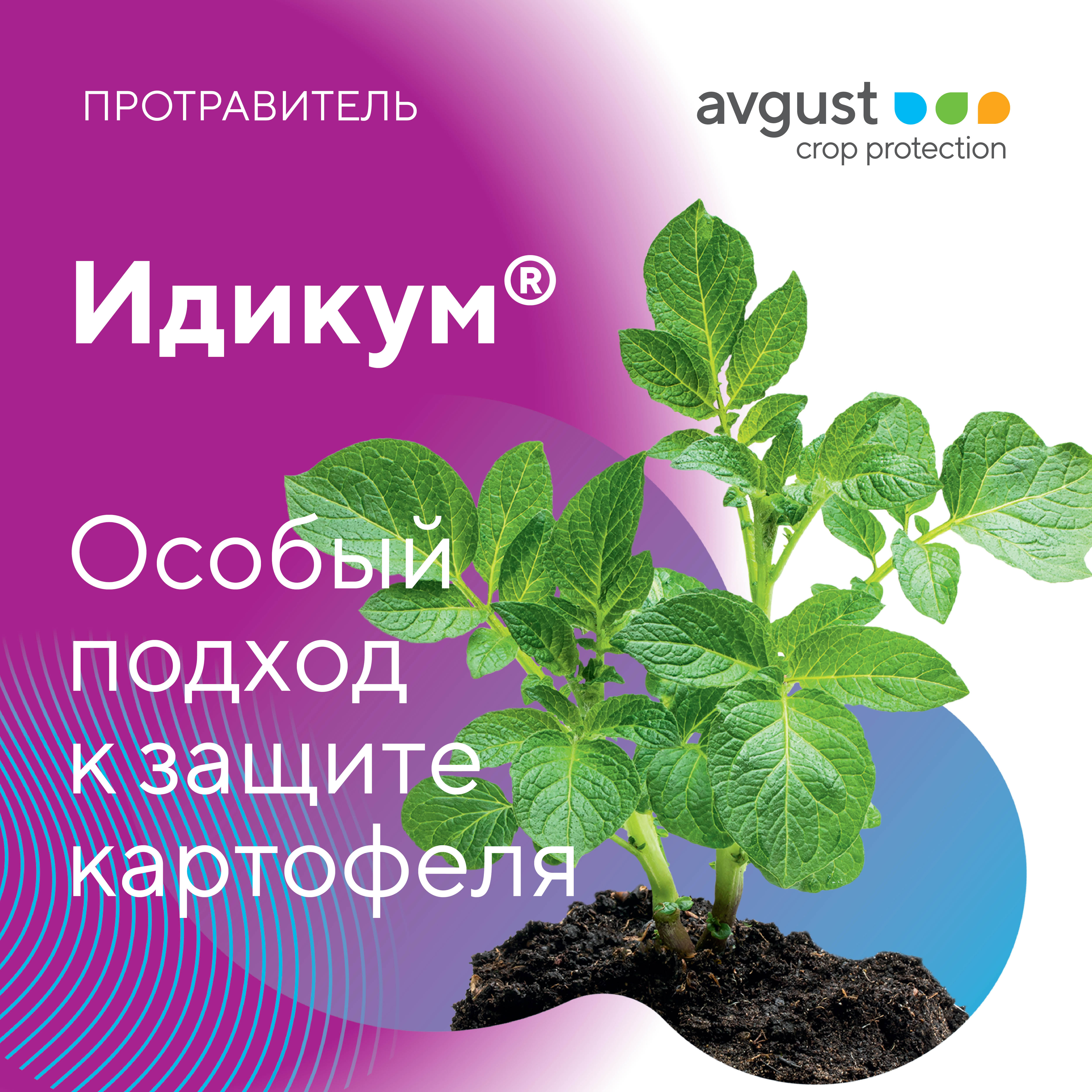 Идикум 12.03