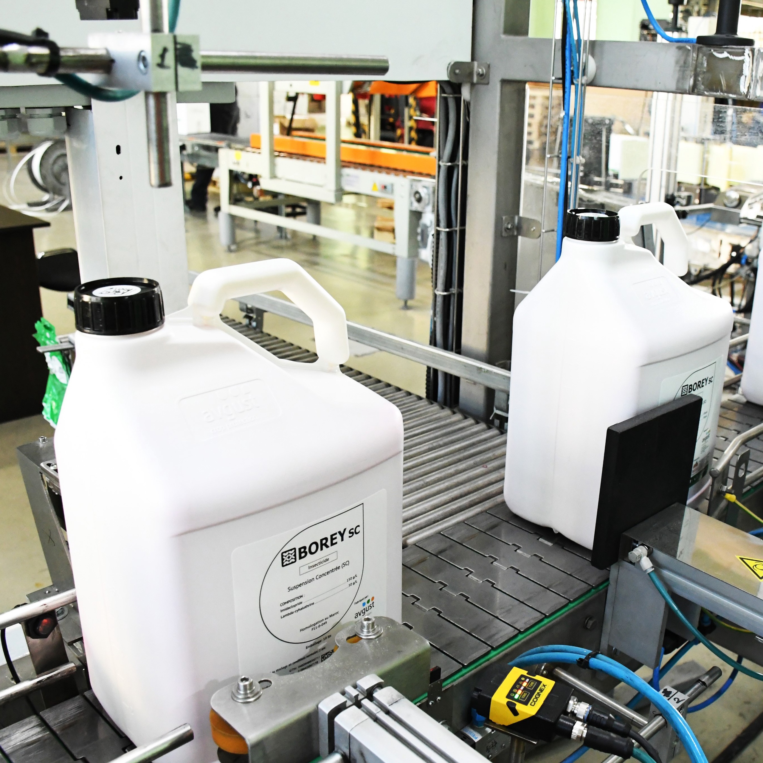 «Августа» развивает экспорт 2022