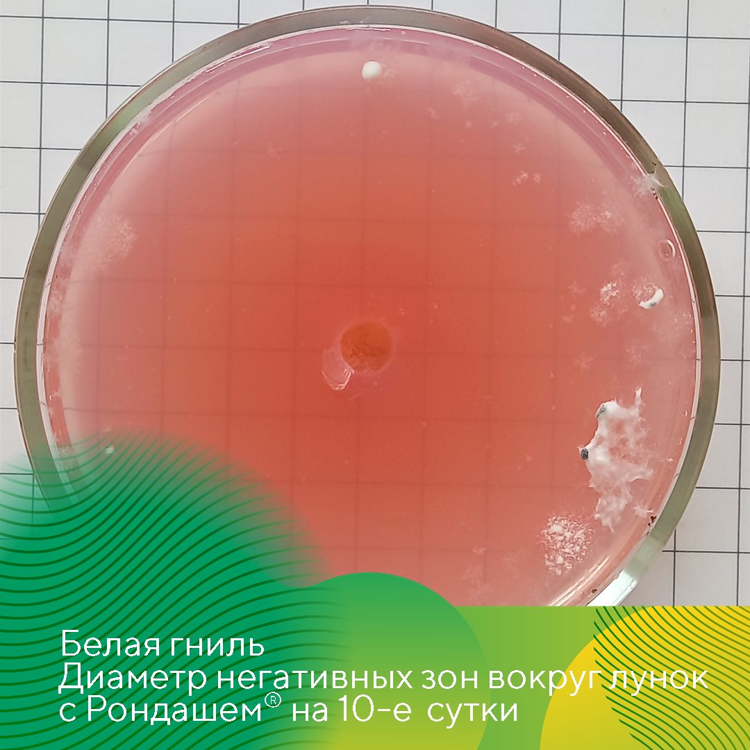 Пост 3.07.2026