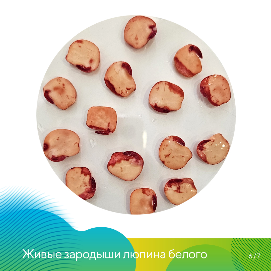  в агролаборатории «Августа» 2023