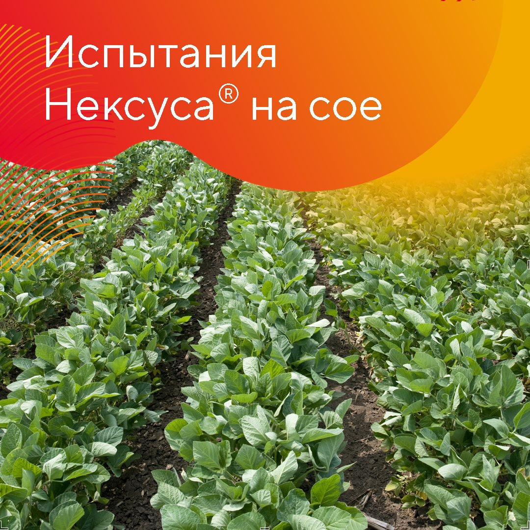 Испытание Нексуса на сое