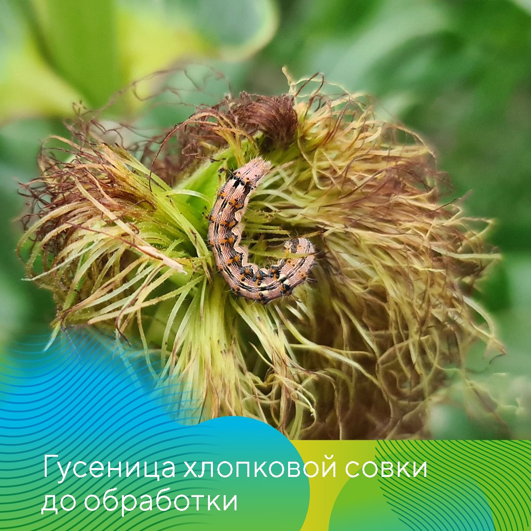 Стилет® июль 24