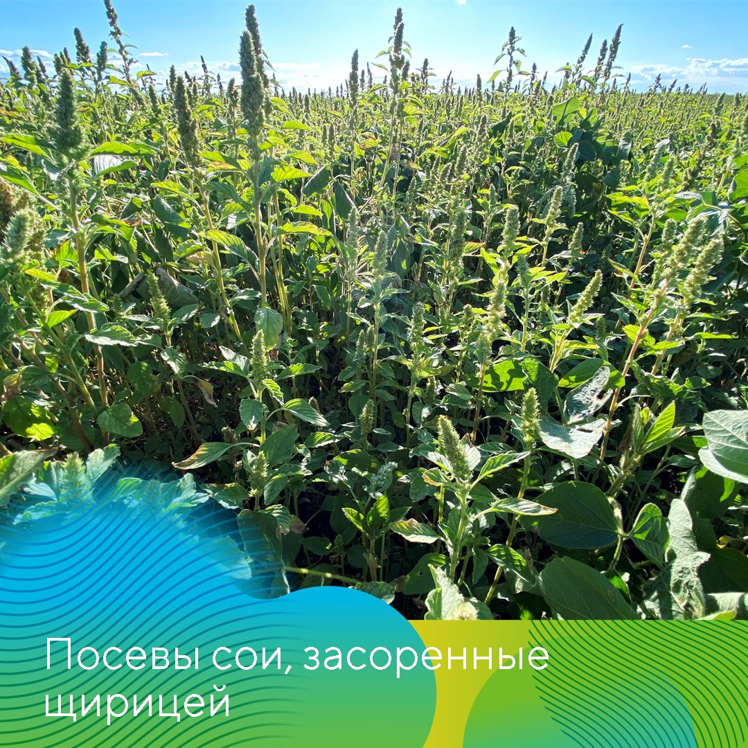 Пост 19.02.2025