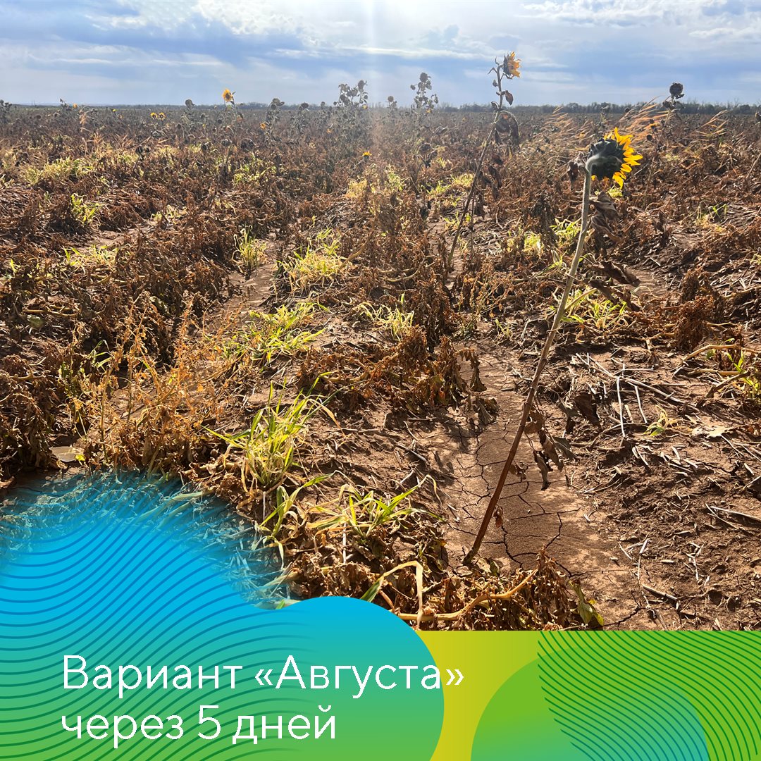 Пост 21.11.2024