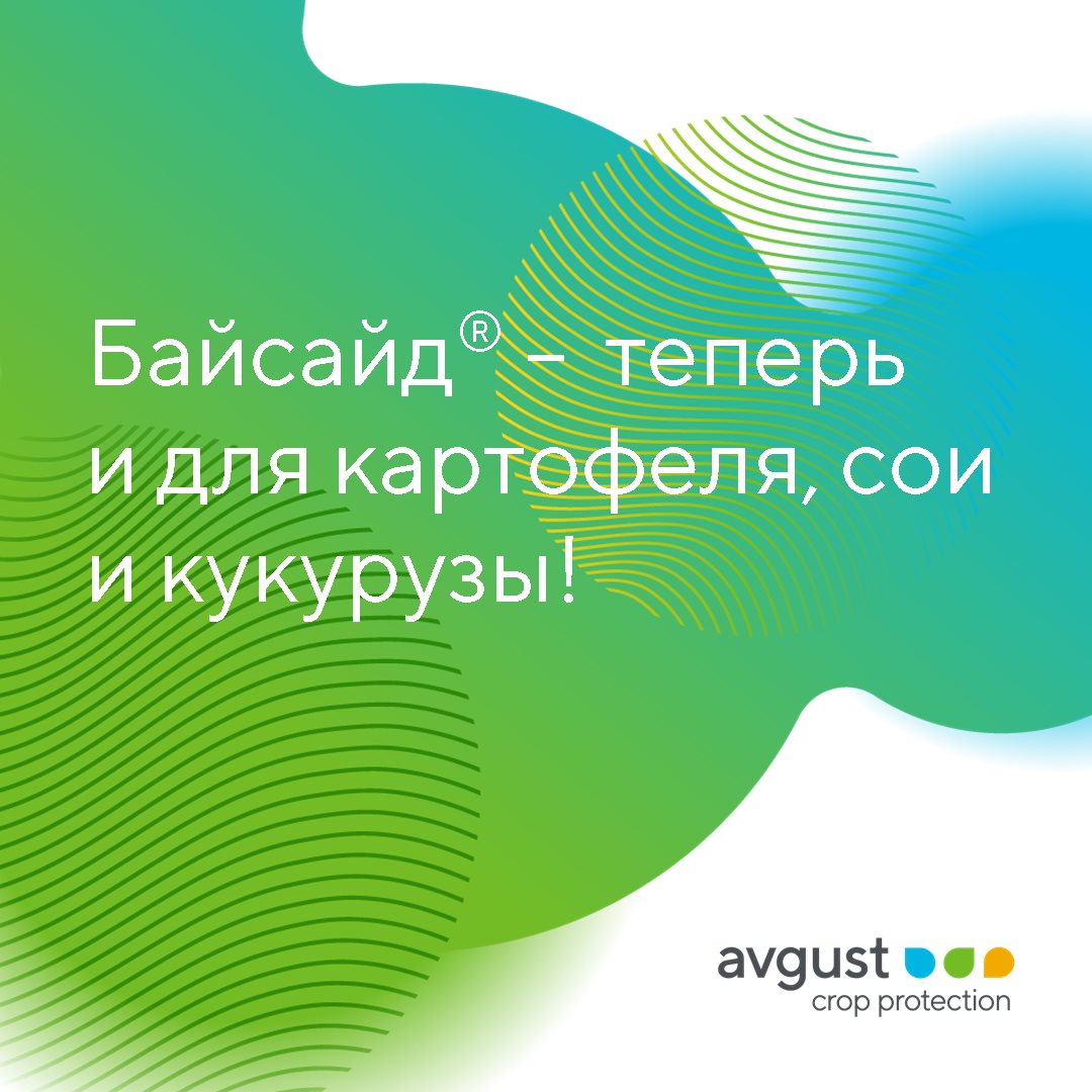 Пост 4.05.2026