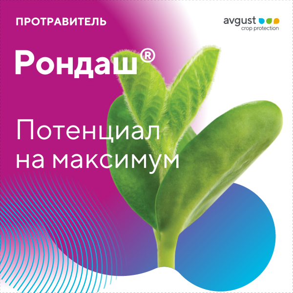 Пост 28.04.2026