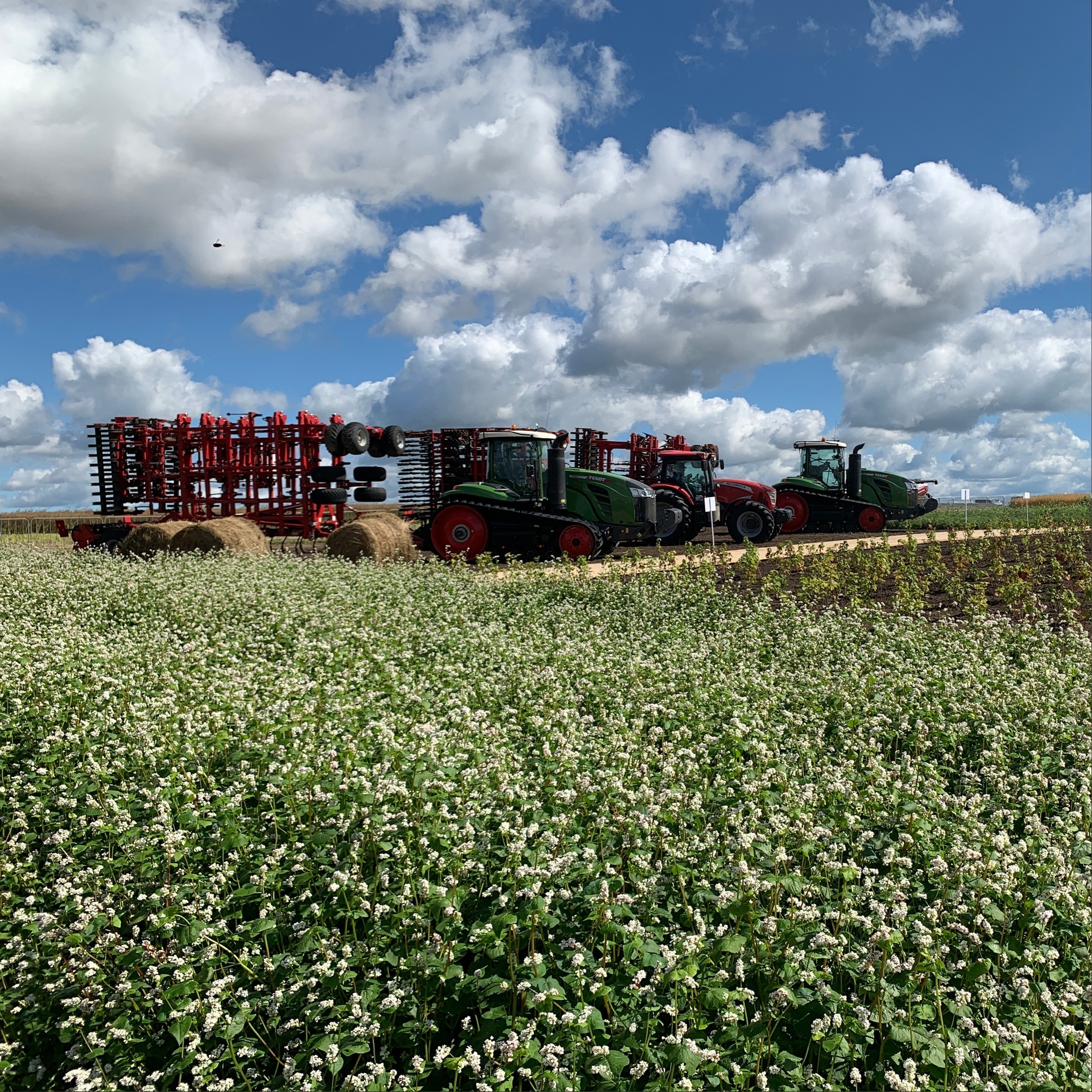 Второй день Всероссийского Дня поля-2022