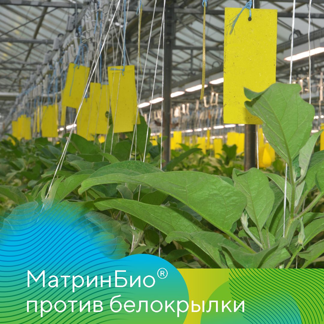МатринБио® 15.05