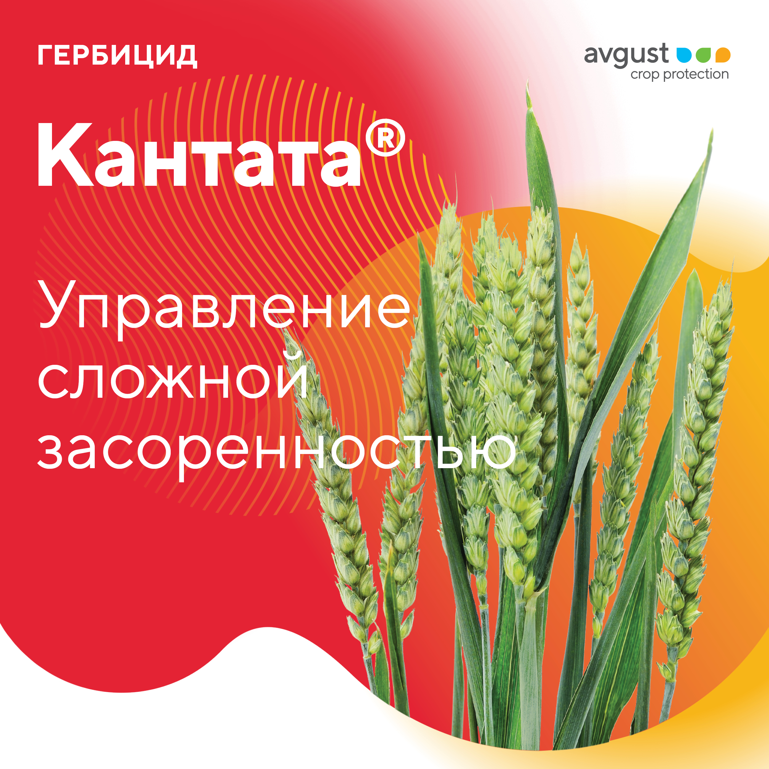 Пост 14.11.2024
