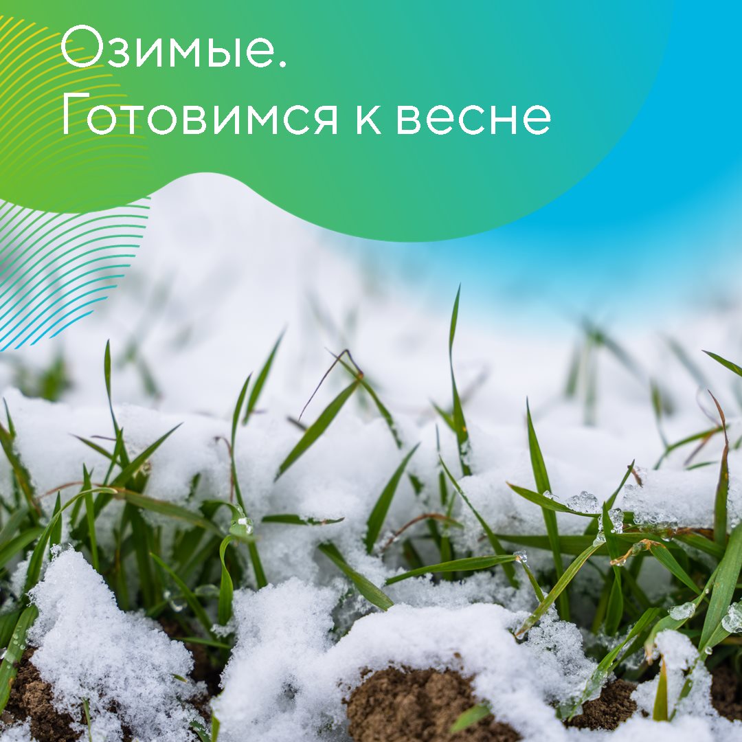 «АгроЛаборатория-Ливны» 12.12