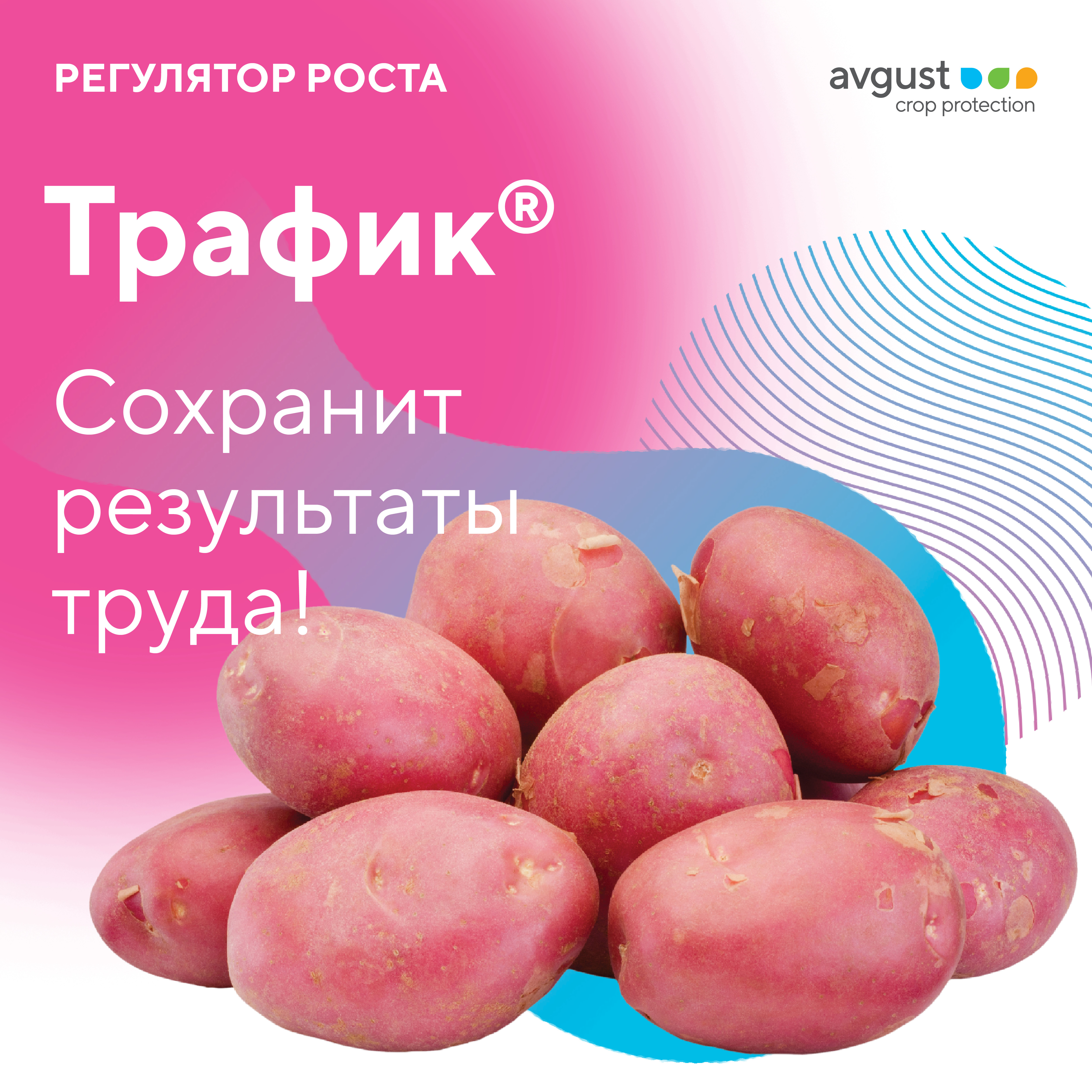 Пост 20.08