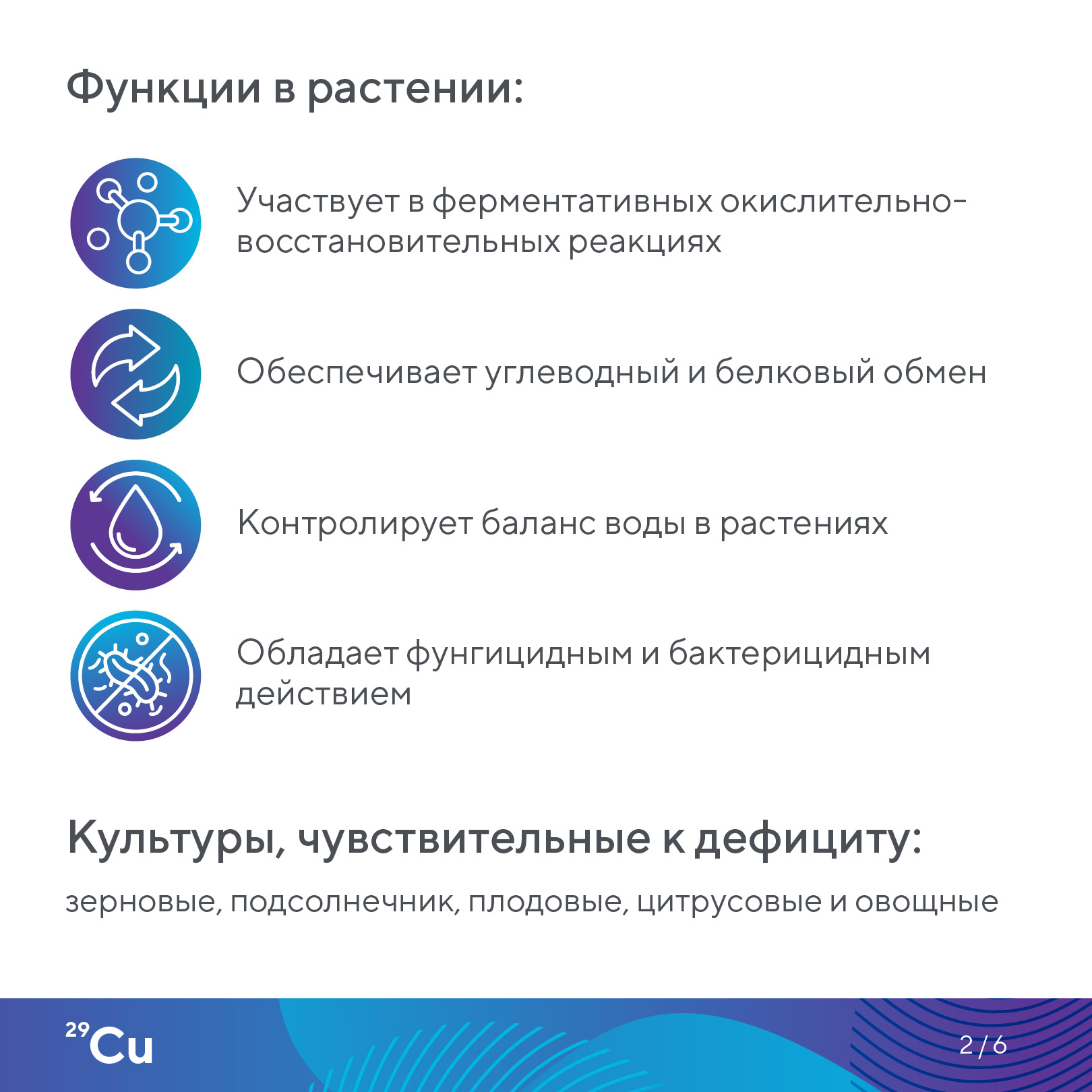 Пост 13.05.2026