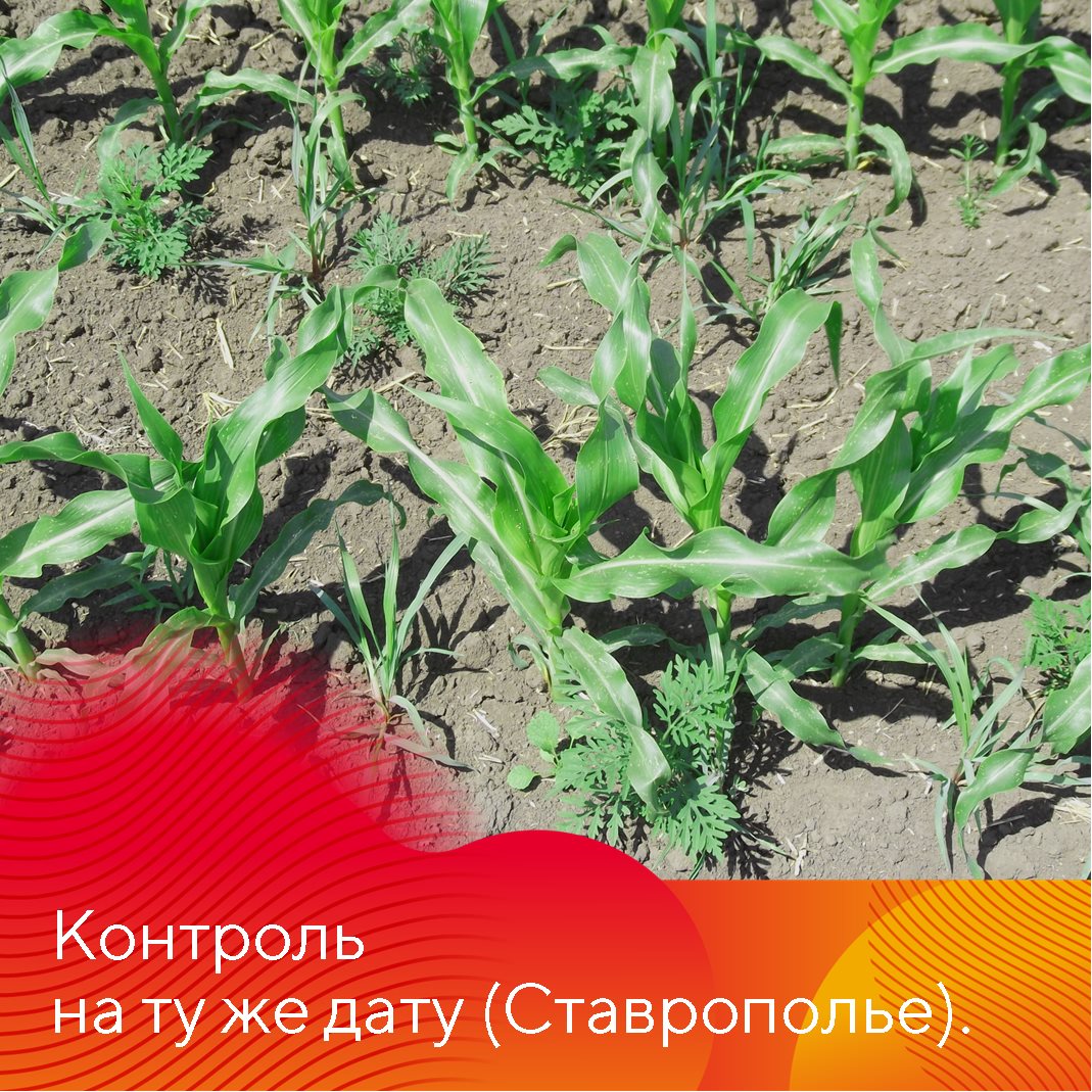Пост 23.04.2025