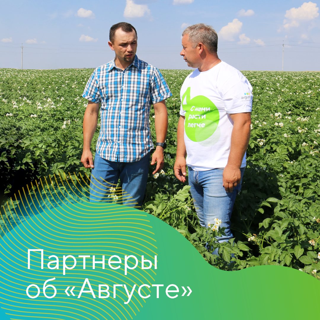 Группа компаний ООО «Слава картофелю»  2023