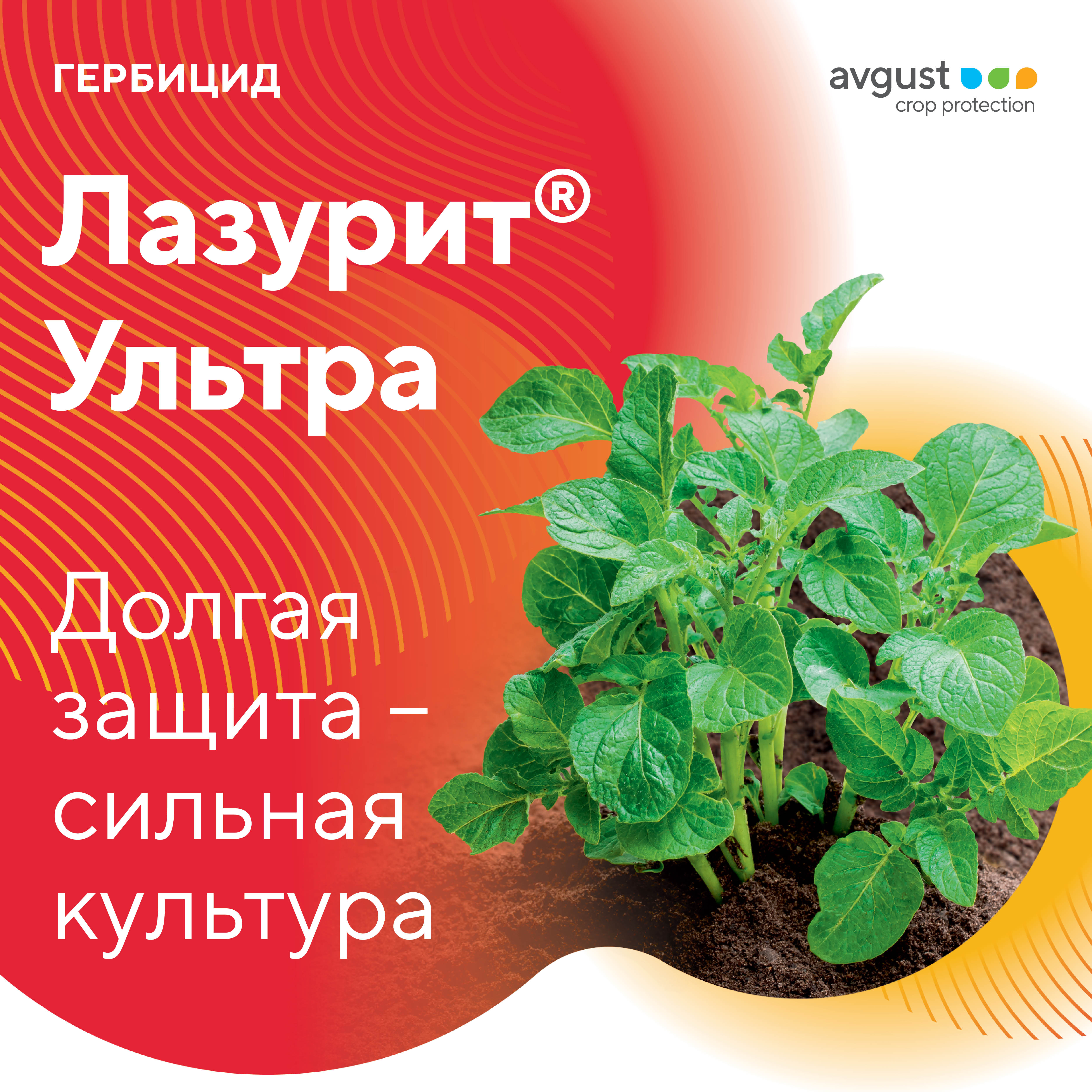 Пост 5.05.2025
