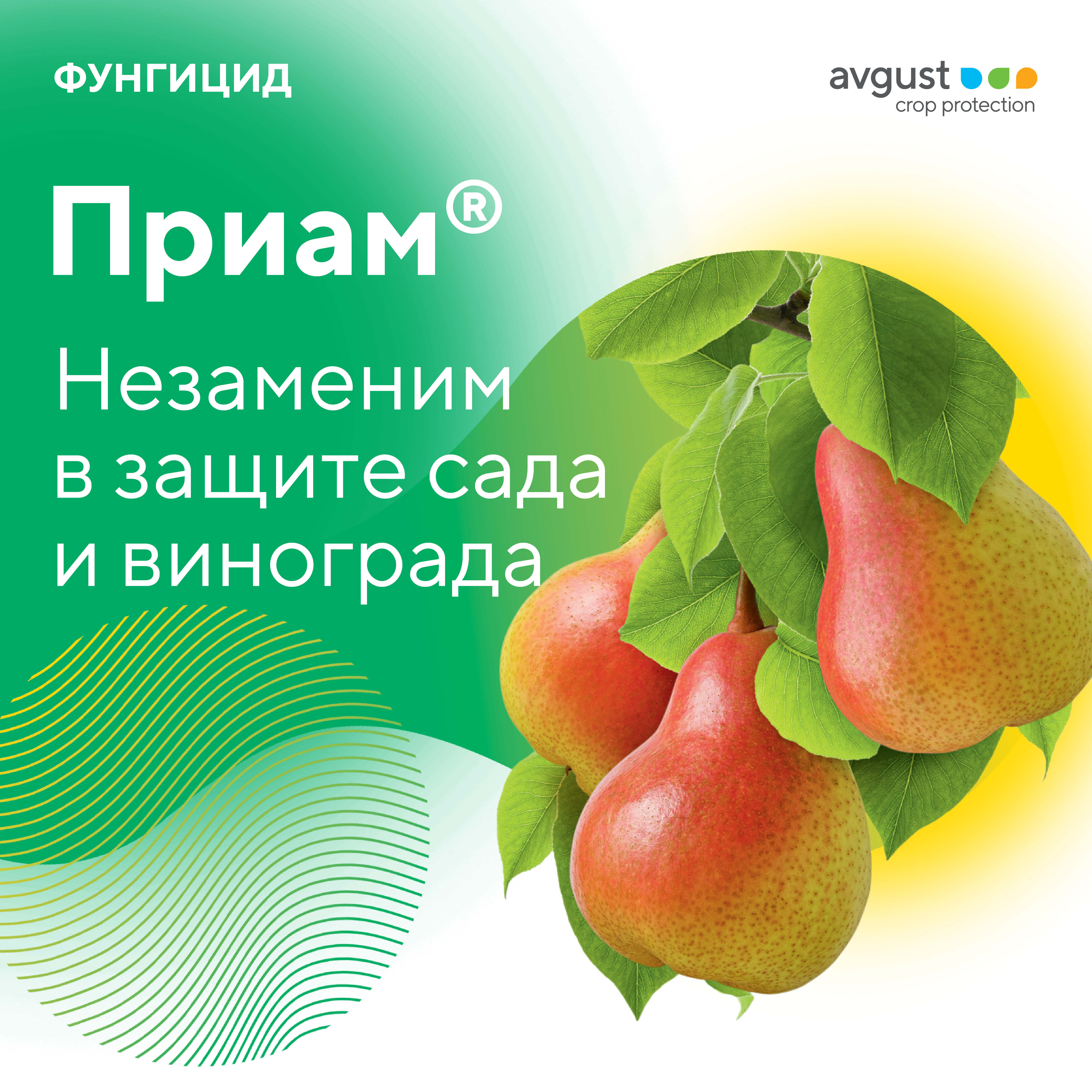 Приам® — фунгицид «Августа» для защиты садов и виноградников