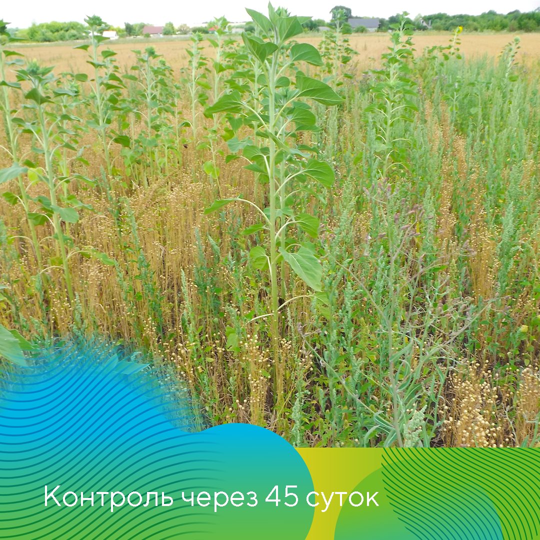 Пост 14.05.2026