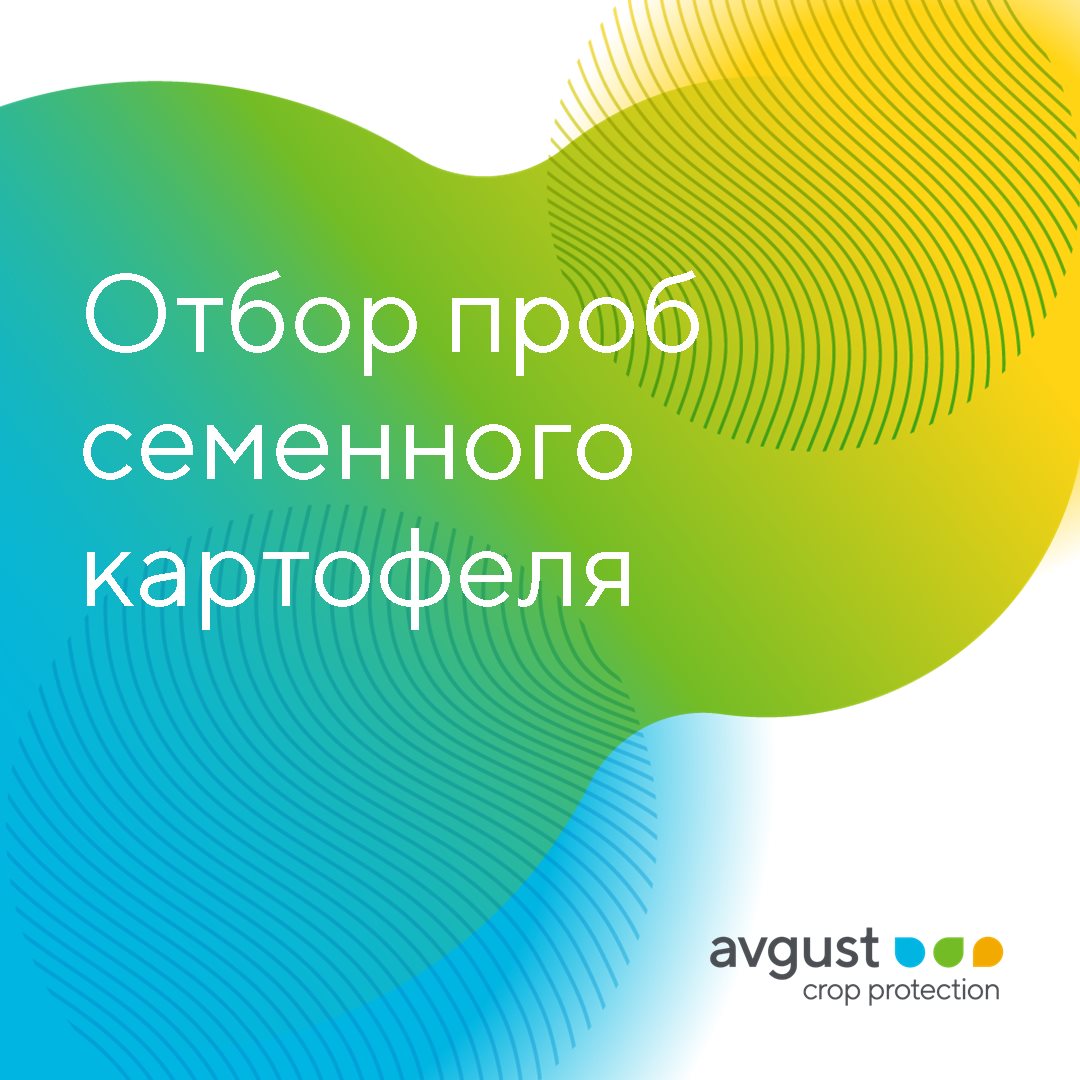 Пост 19.03.2025.1
