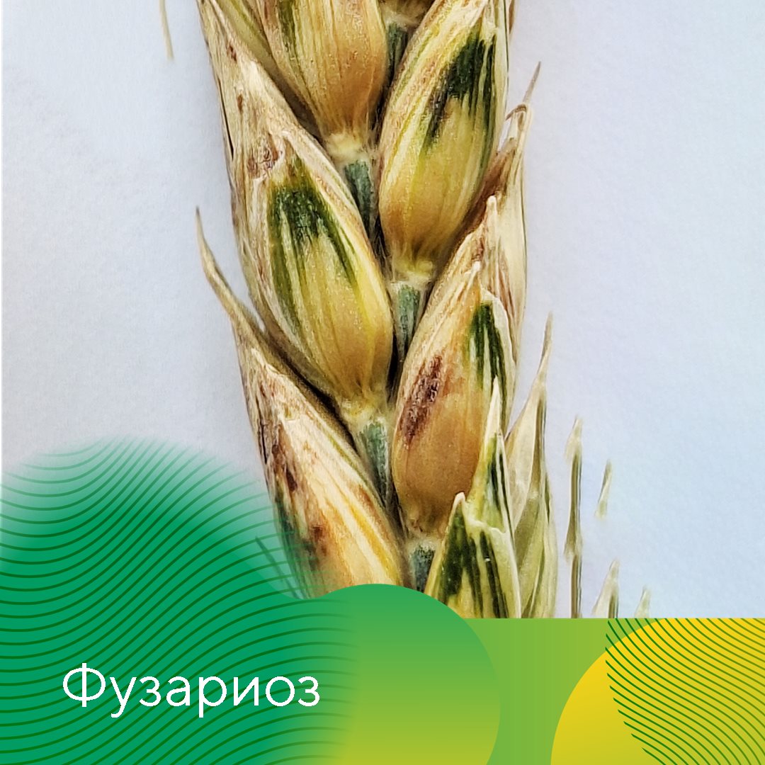 Пост 6.05.2026