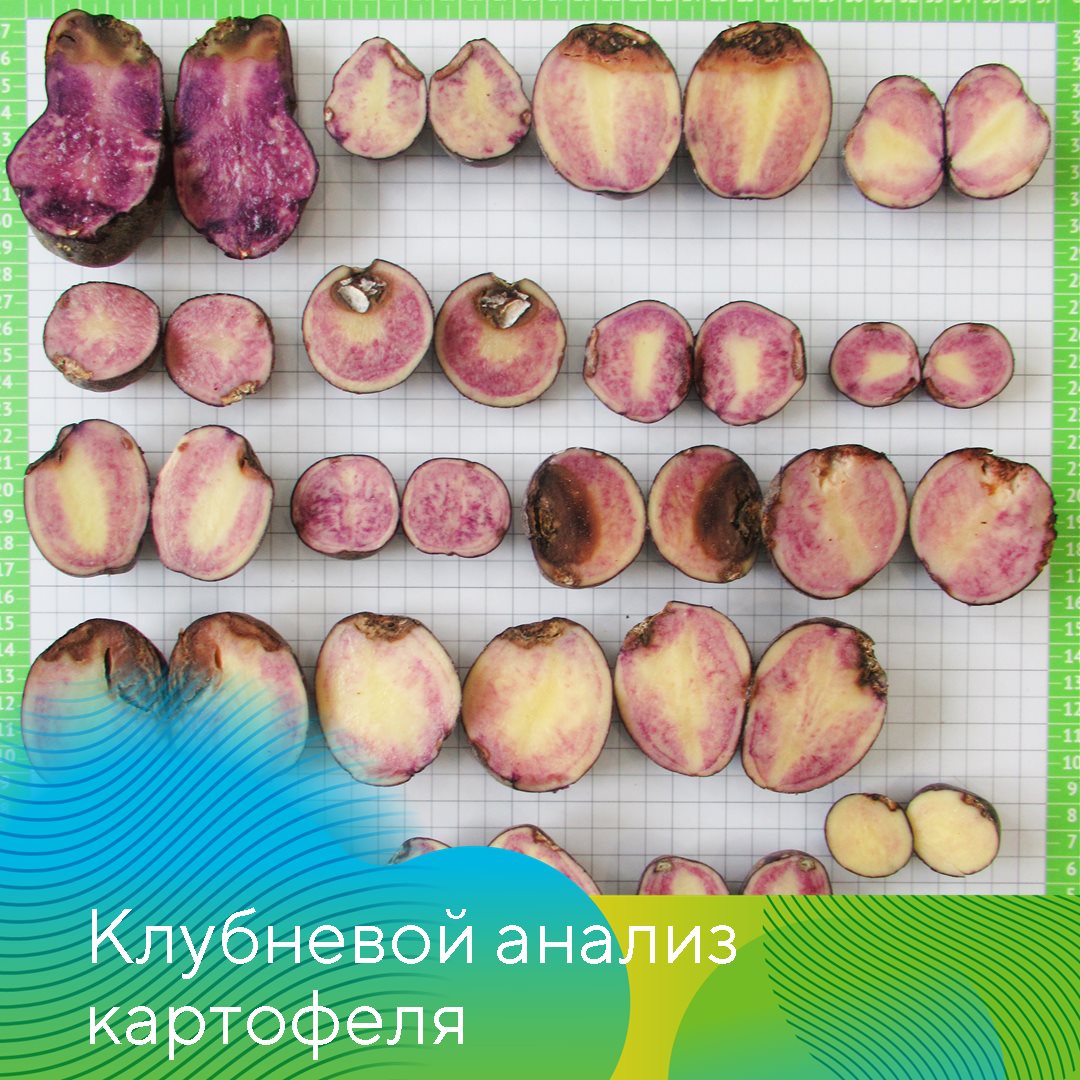 Пост 20.03.2026