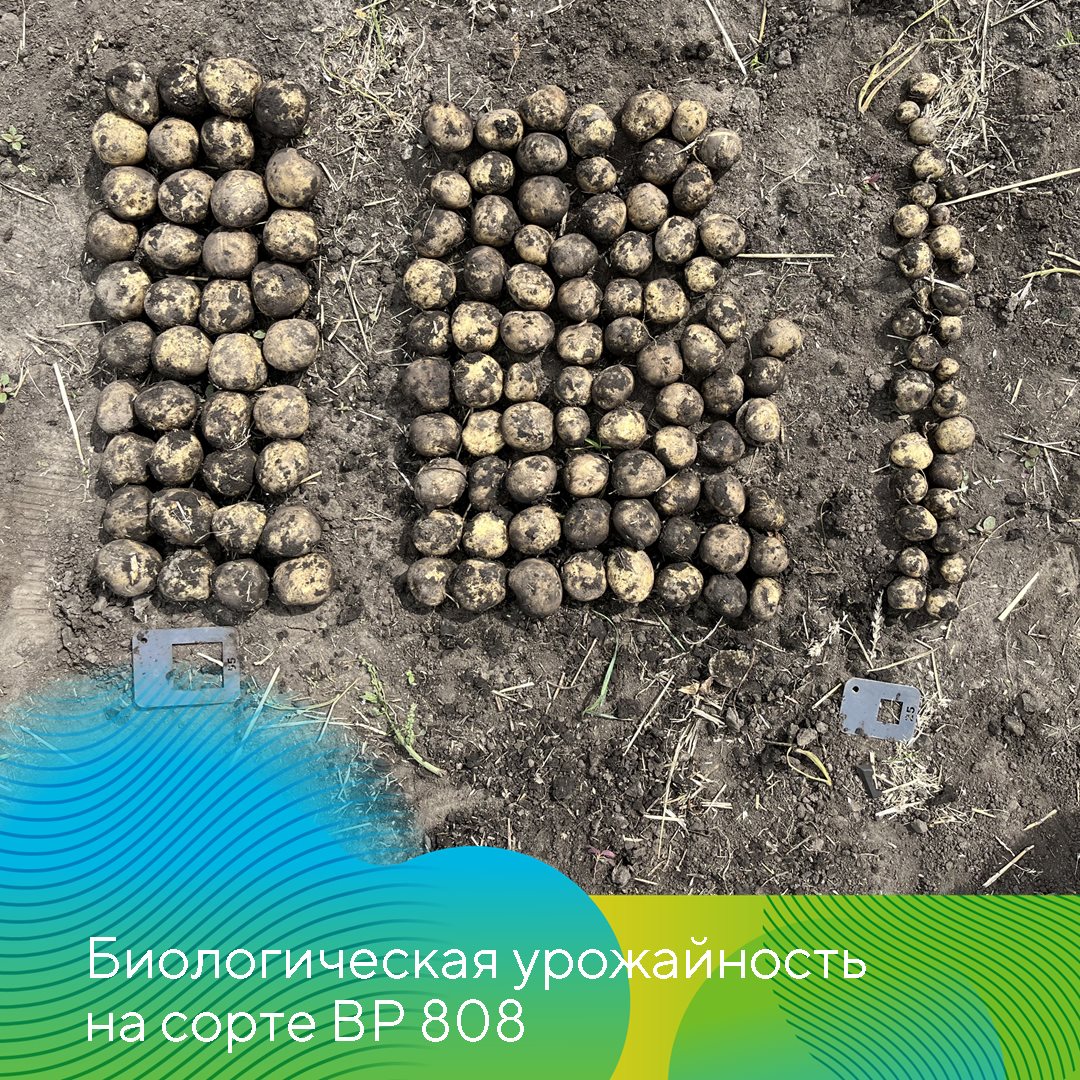 Пост 24.10.2024
