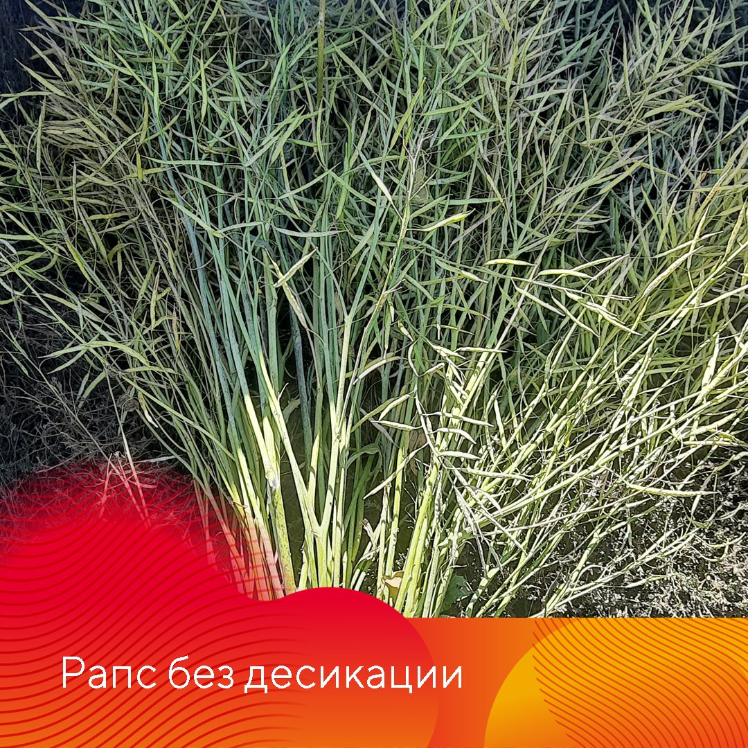 Пост 3.09.2025