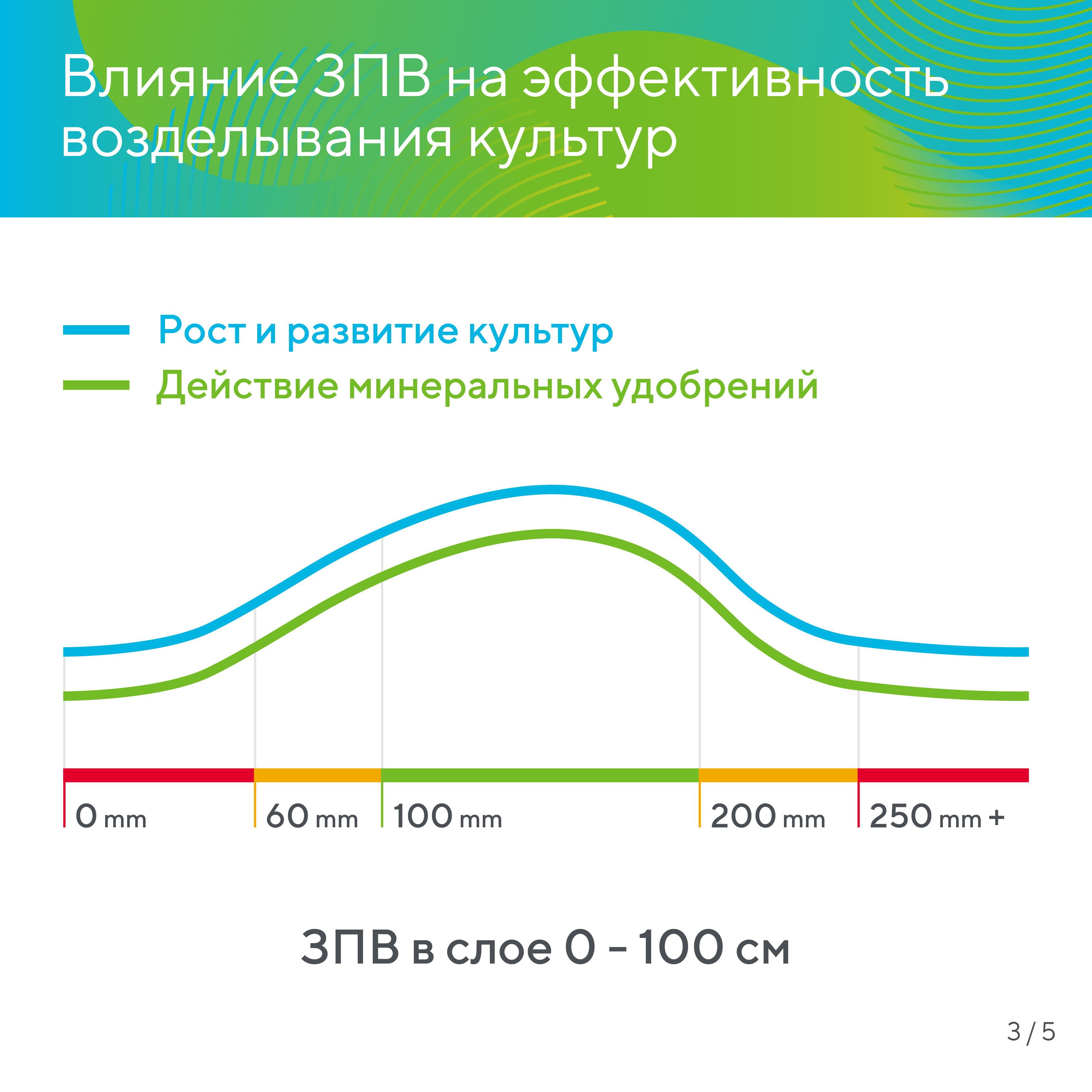 Пост 12.02.2026