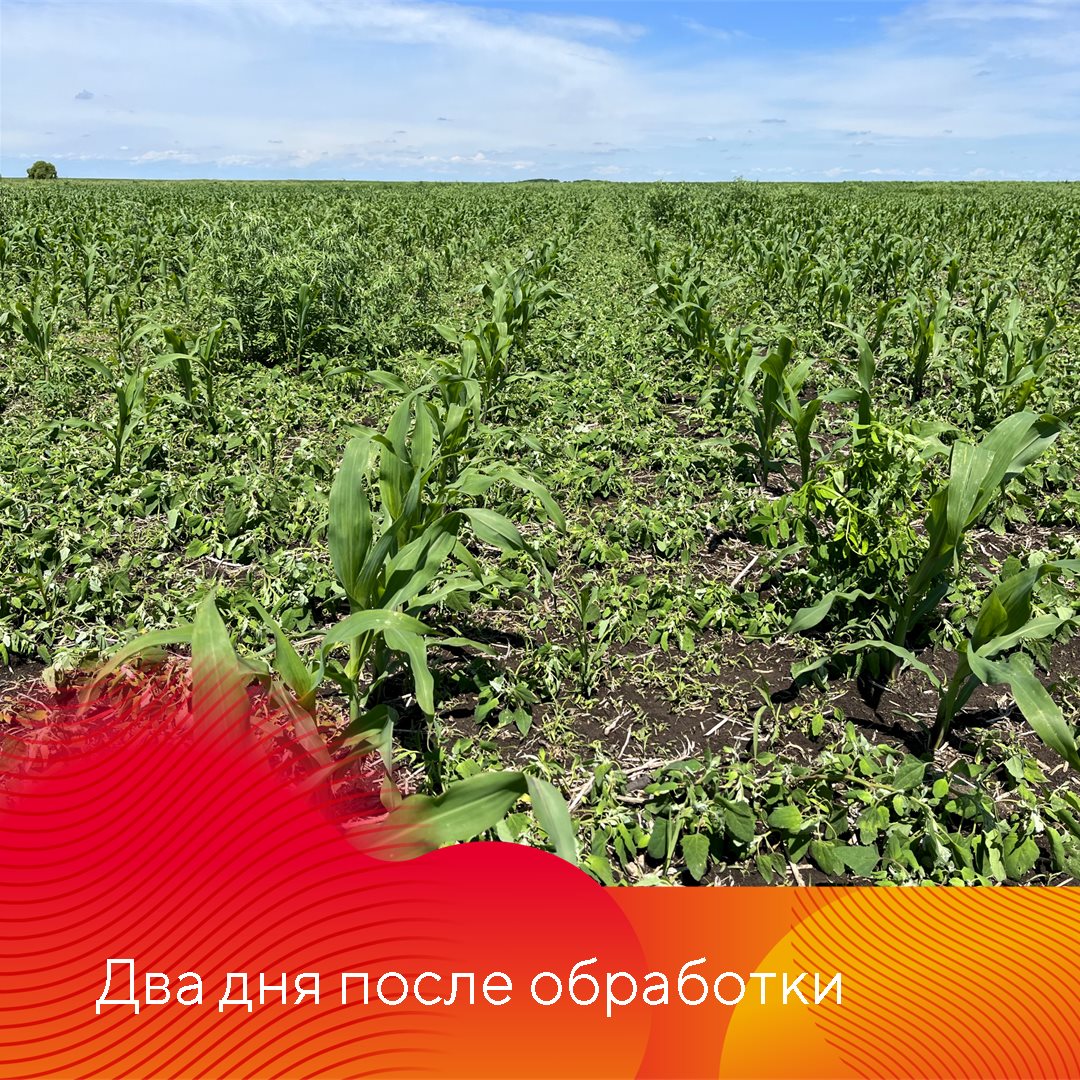 Гербицид Фултайм® октябрь 2023