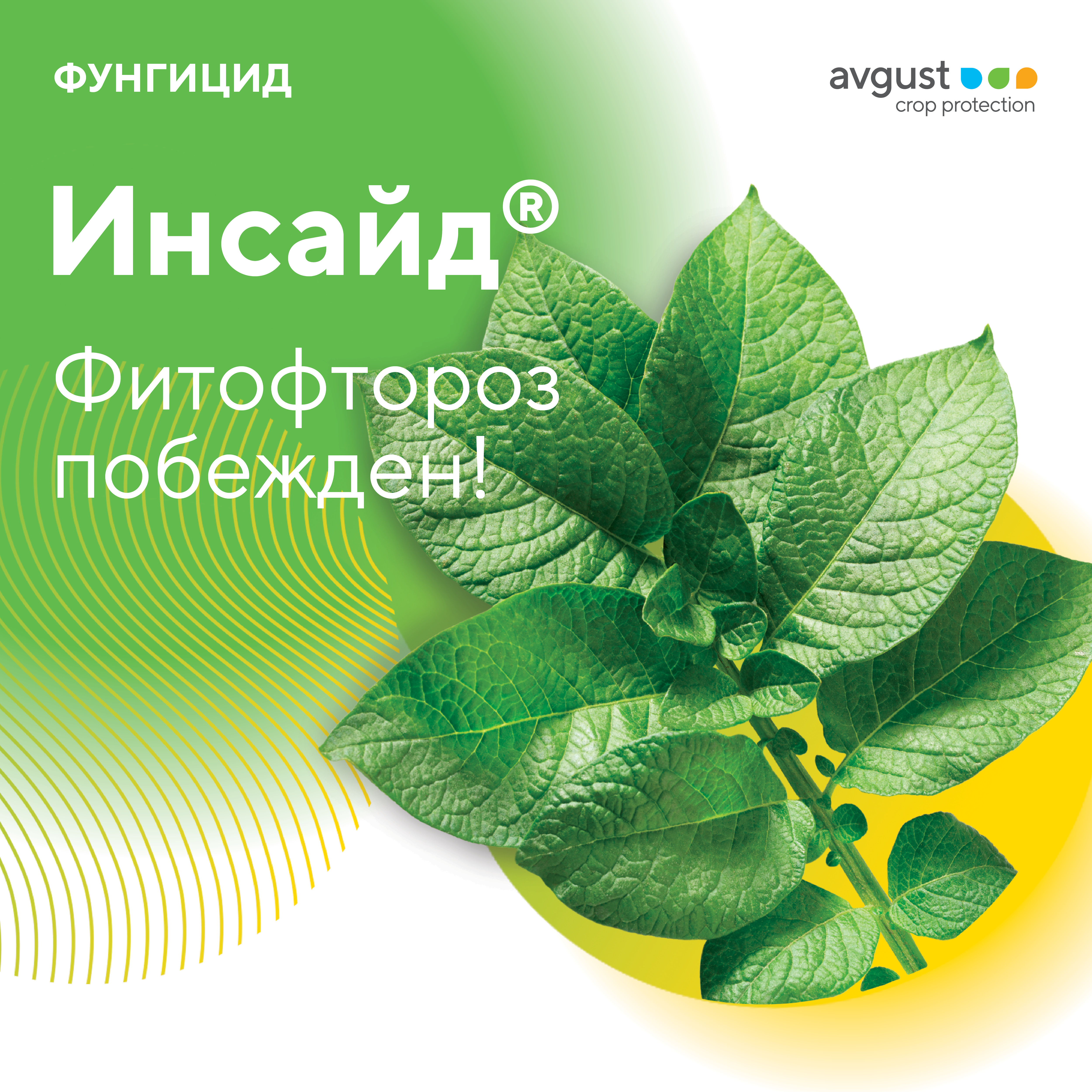 Инсайд® июнь 2024