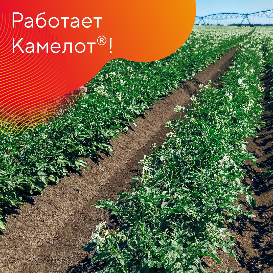 Пост 30.03.2026