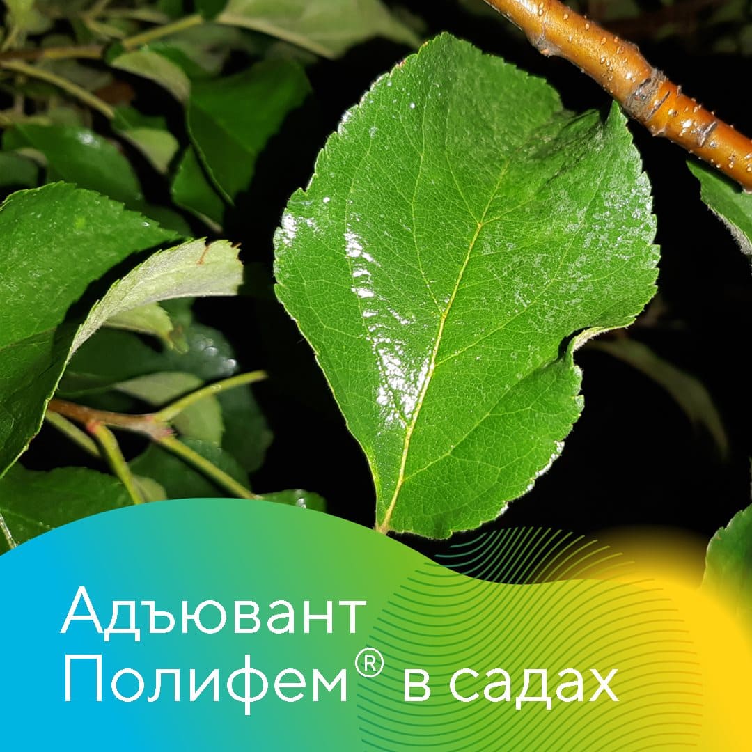 Адъювант Полифем® март 2023